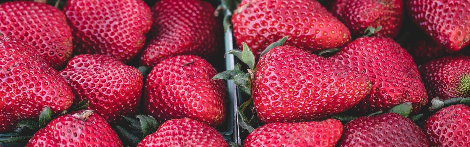 Fresh strawberries — 100% natural ingredients